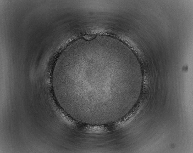 X0000100860449200806201221