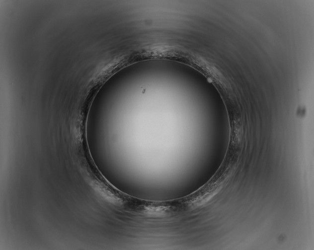 X0000100860450200806201221