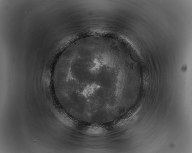 X0000100860451200806201221