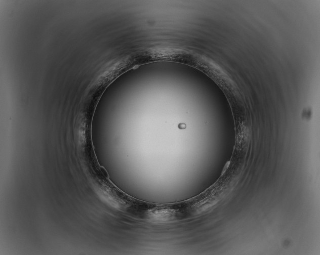 X0000100860452200806201221