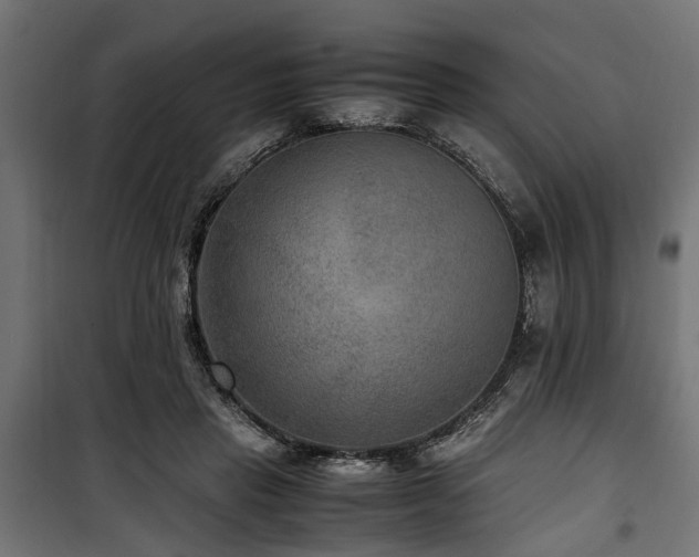 X0000100860453200806201221