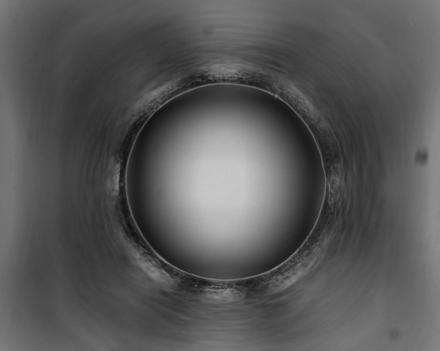 X0000100860454200806201221