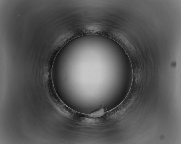 X0000100860455200806201221