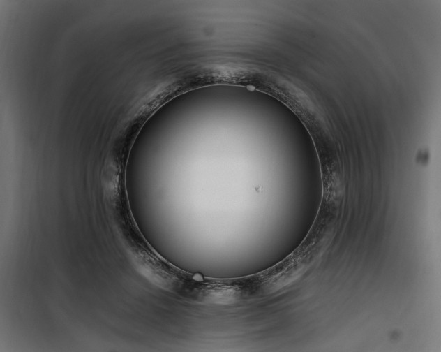 X0000100860456200806201221