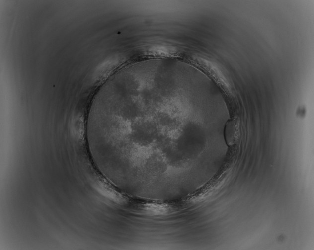 X0000100860457200806201221