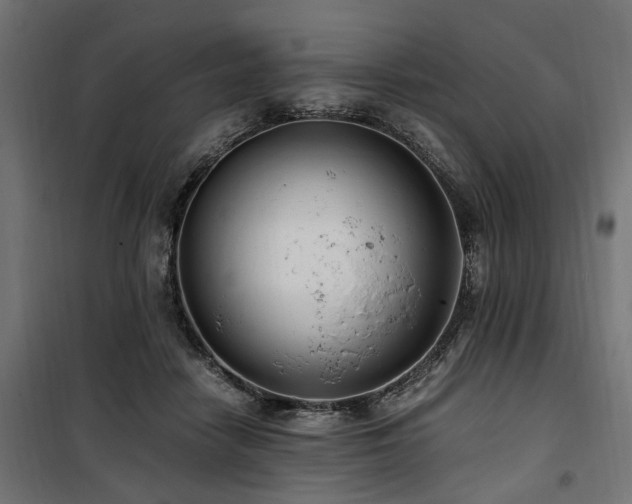 X0000100860458200806201221