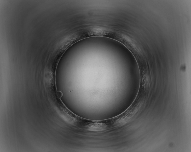 X0000100860459200806201221