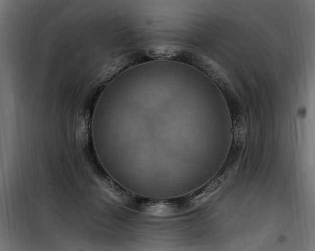 X0000100860460200806201221