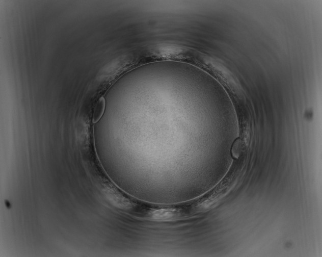 X0000100860461200806201221