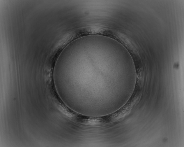 X0000100860462200806201221