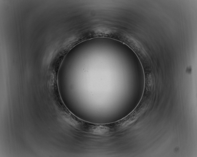 X0000100860463200806201221