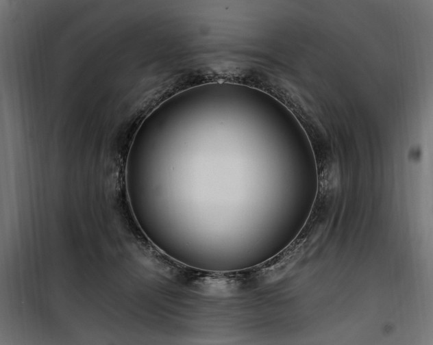 X0000100860464200806201221