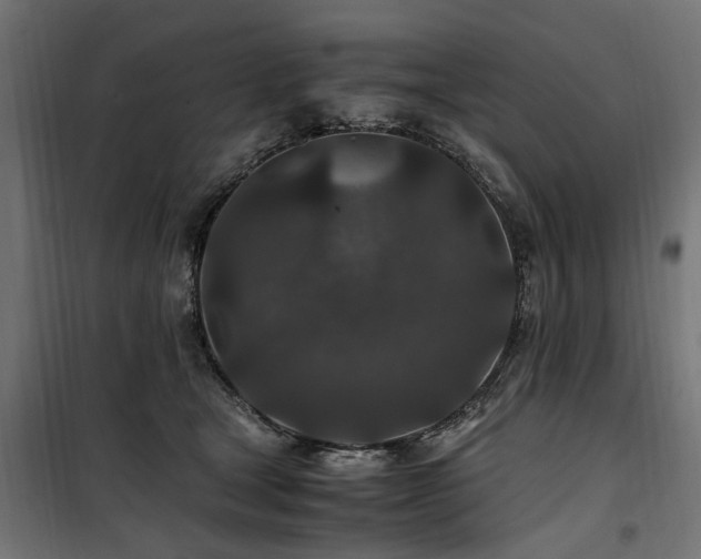 X0000100860465200806201221