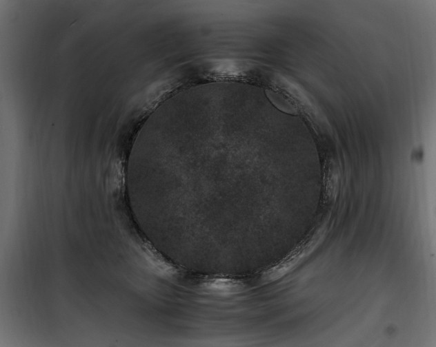 X0000100860467200806201221