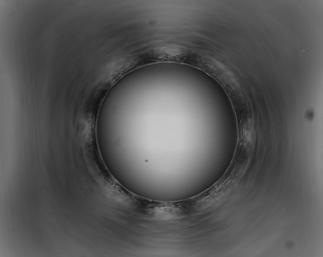 X0000100860468200806201221