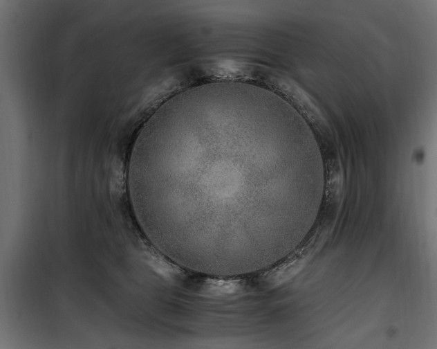 X0000100860469200806201221