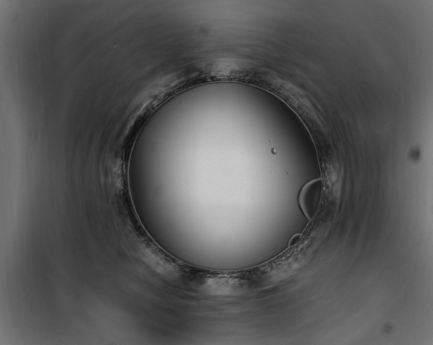 X0000100860470200806201221