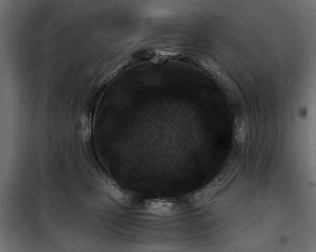 X0000100860471200806201221