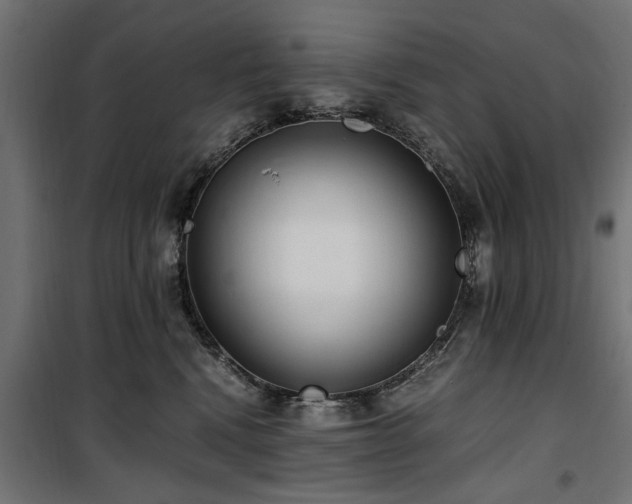 X0000100860472200806201221