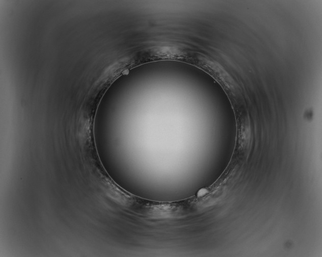 X0000100860473200806201221