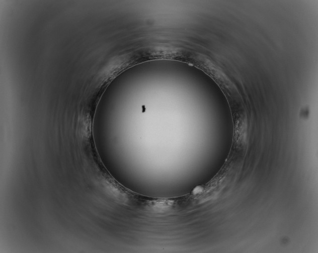 X0000100860474200806201221