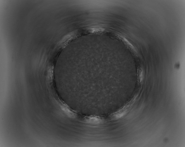 X0000100860475200806201221