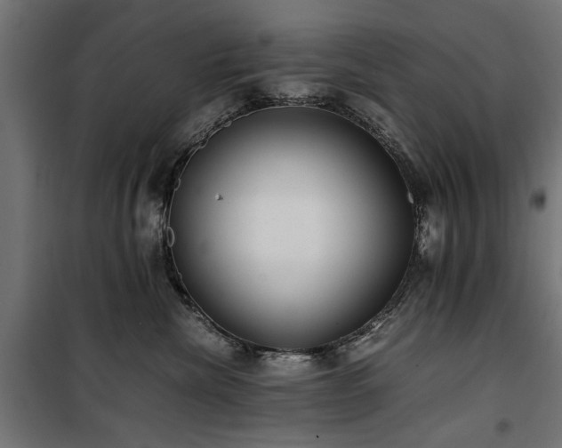 X0000100860476200806201221