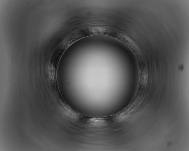 X0000100860477200806201221