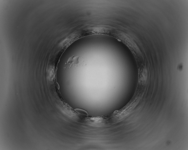 X0000100860478200806201221