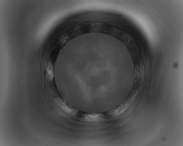 X0000100860479200806201221