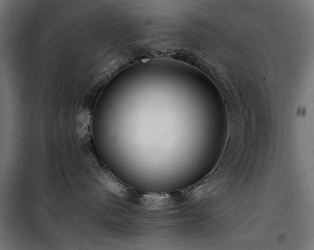 X0000100860480200806201221