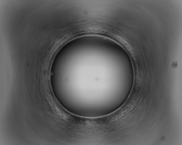 X0000100860481200806201221