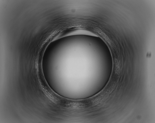 X0000100860482200806201221