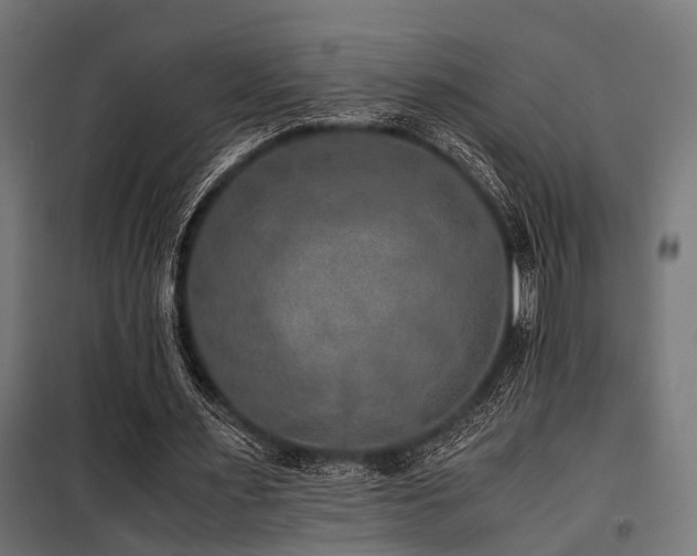 X0000100860483200806201221