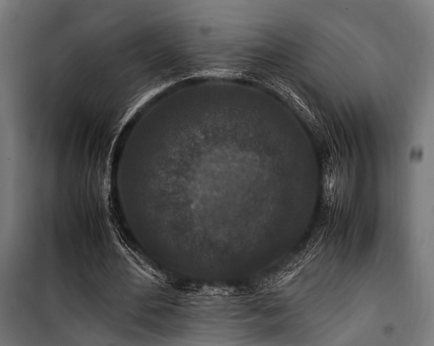 X0000100860484200806201221