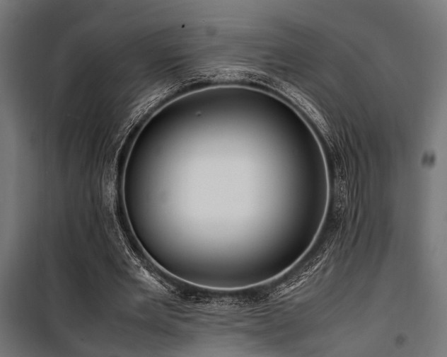 X0000100860485200806201221