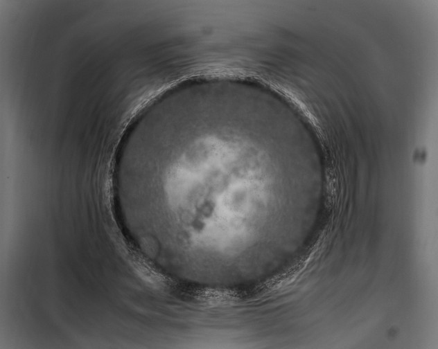 X0000100860487200806201221