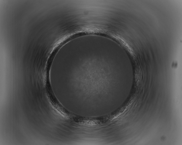 X0000100860488200806201221