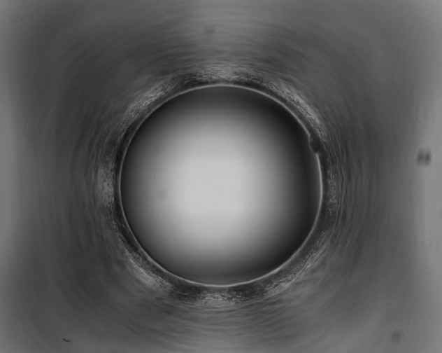 X0000100860489200806201221