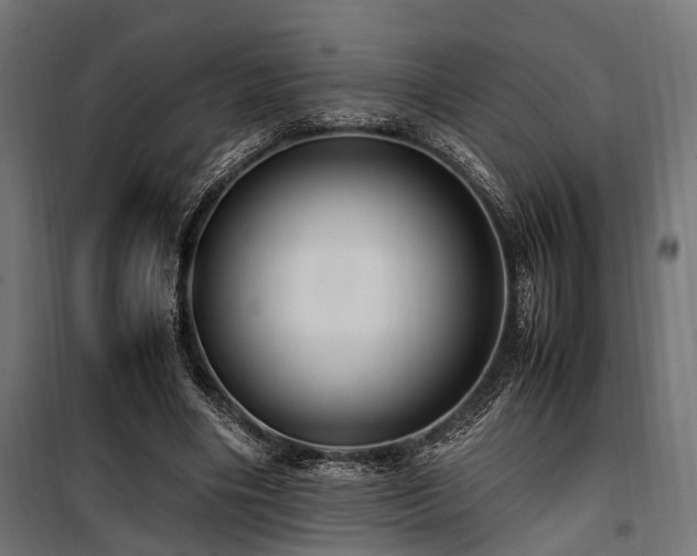 X0000100860490200806201220