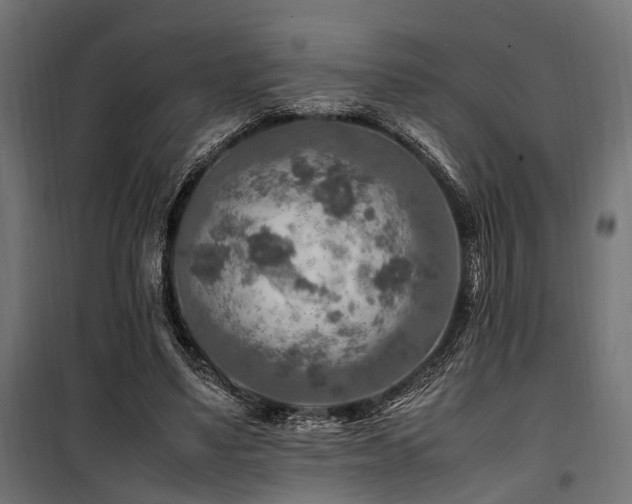 X0000100860491200806201220