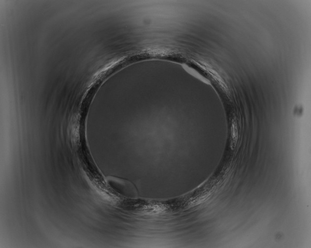 X0000100860492200806201220