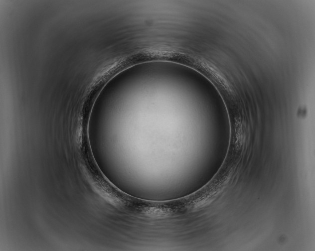 X0000100860494200806201220