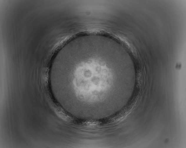 X0000100860495200806201220