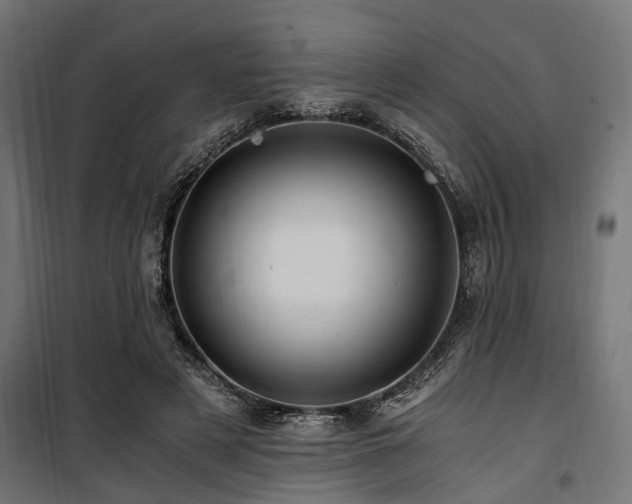 X0000100860497200806201220