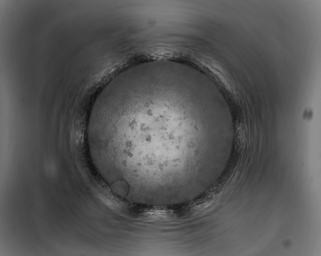 X0000100860499200806201220