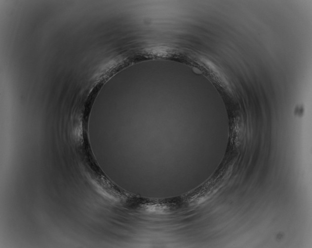 X0000100860500200806201220