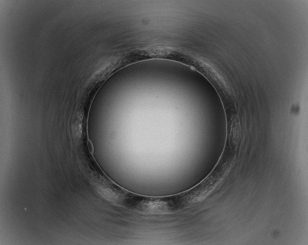 X0000100860501200806201220