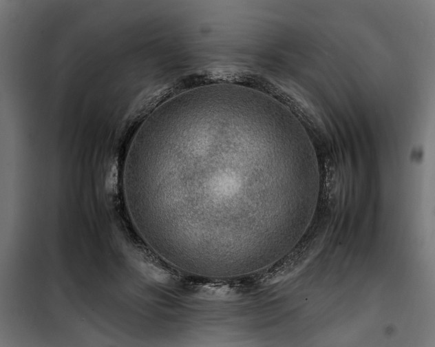 X0000100860502200806201220