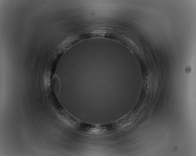 X0000100860504200806201220